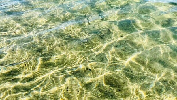 Aguas cristalinas y poco profundas que muestran el lecho marino, con una masa de tierra a lo lejos.
