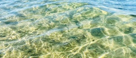 Nära stranden och solstolar