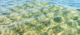 Hermosa casa de playa Priscilla W / playa privada! Oasis costero en minutos !!