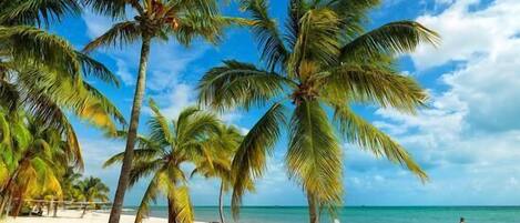 Na praia, toalhas de praia