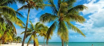 Panoramic Ocean: Beach from every window 