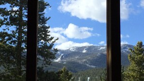 Paisaje montañoso con picos nevados, denso bosque y cielo azul despejado.