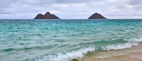 Playa en los alrededores, camastros y toallas de playa