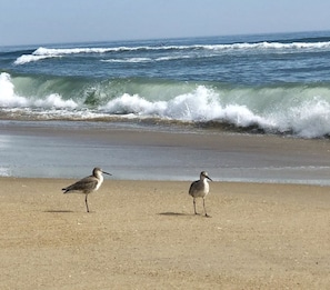 On the beach, sun-loungers