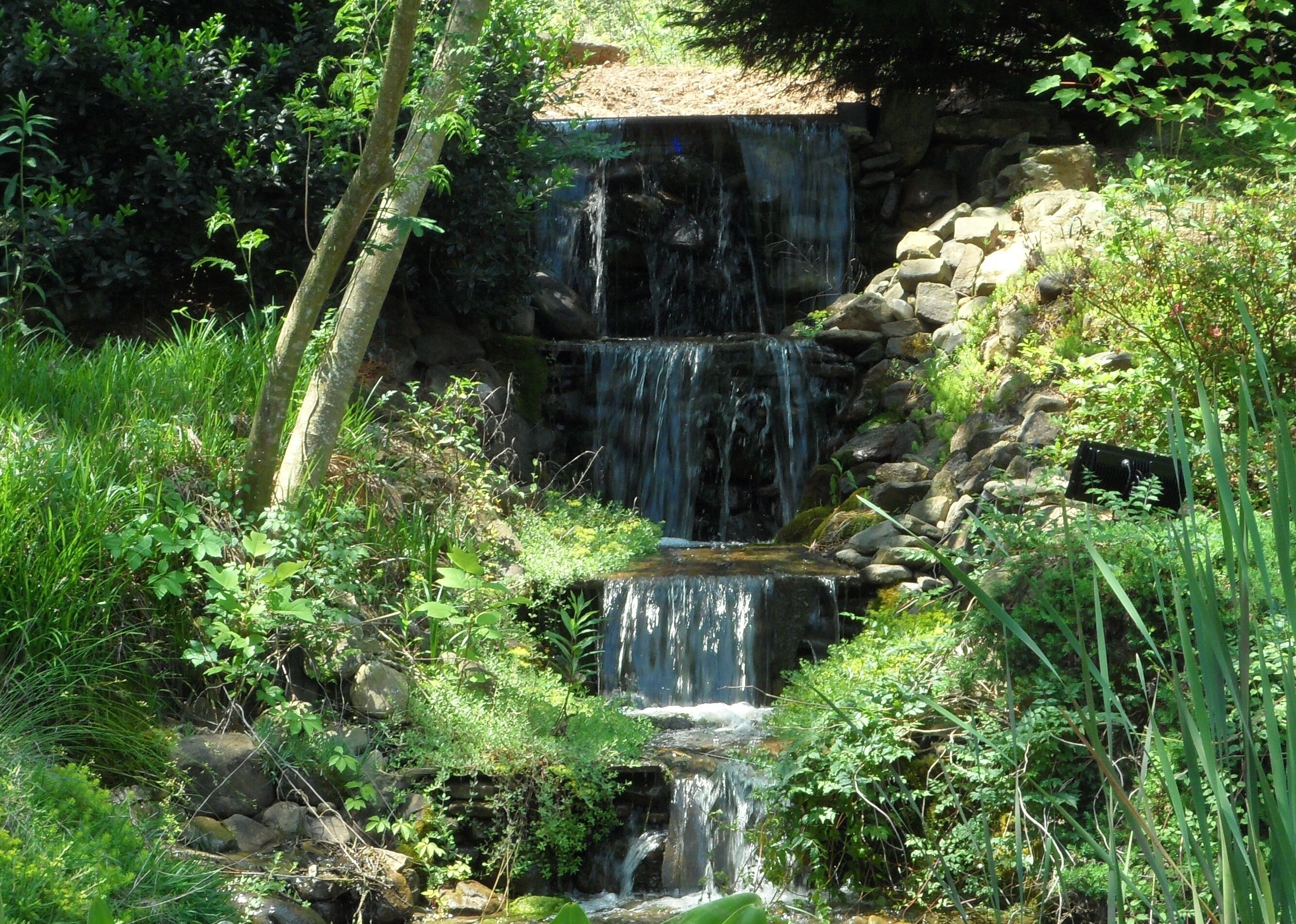 Una cascada natural en un entorno verde y exuberante, con rocas y vegetación.