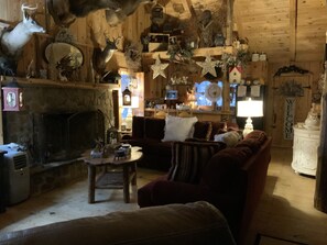 Télévision, cheminée, lecteur de DVD, chaîne hi-fi