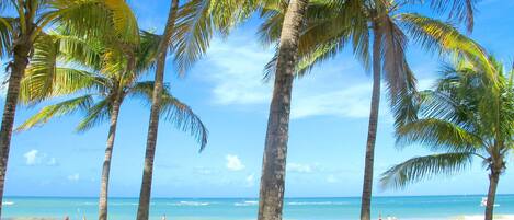 Am Strand, Sonnenschirme, Strandtücher