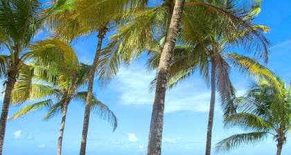 NEW - LUXURIOUS MODERN STUDIO - STEPS TO THE BEACH, RESTAURANTS AND HOTELS