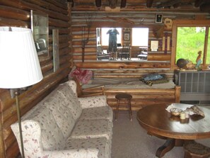 Smart TV, fireplace, DVD player, books