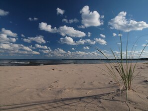 Plage, chaises longues, serviettes de plage