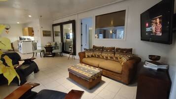 Smart TV, chimenea, reproductor de DVD y libros