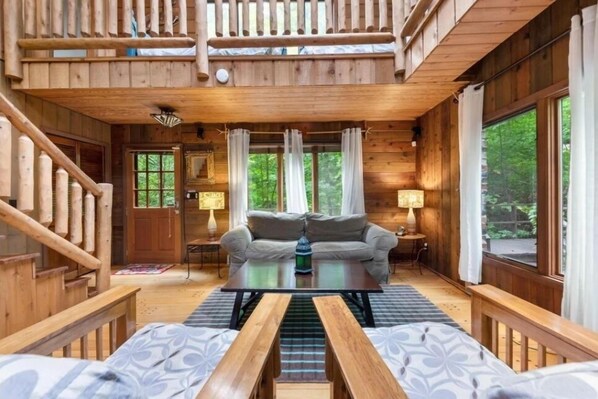 TV connectée, cheminée, jeux vidéo, lecteur de DVD