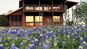A two-story wooden house with a balcony, surrounded by a field of blue and white flowers. - Mata'Zamo cliffside cabin, 1000 acres hiking trails, farm animals, family fun! (Glen Rose)