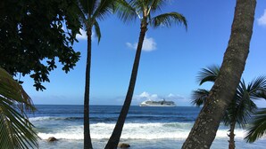 Une plage bordée de palmiers, avec un navire de croisière visible au loin.