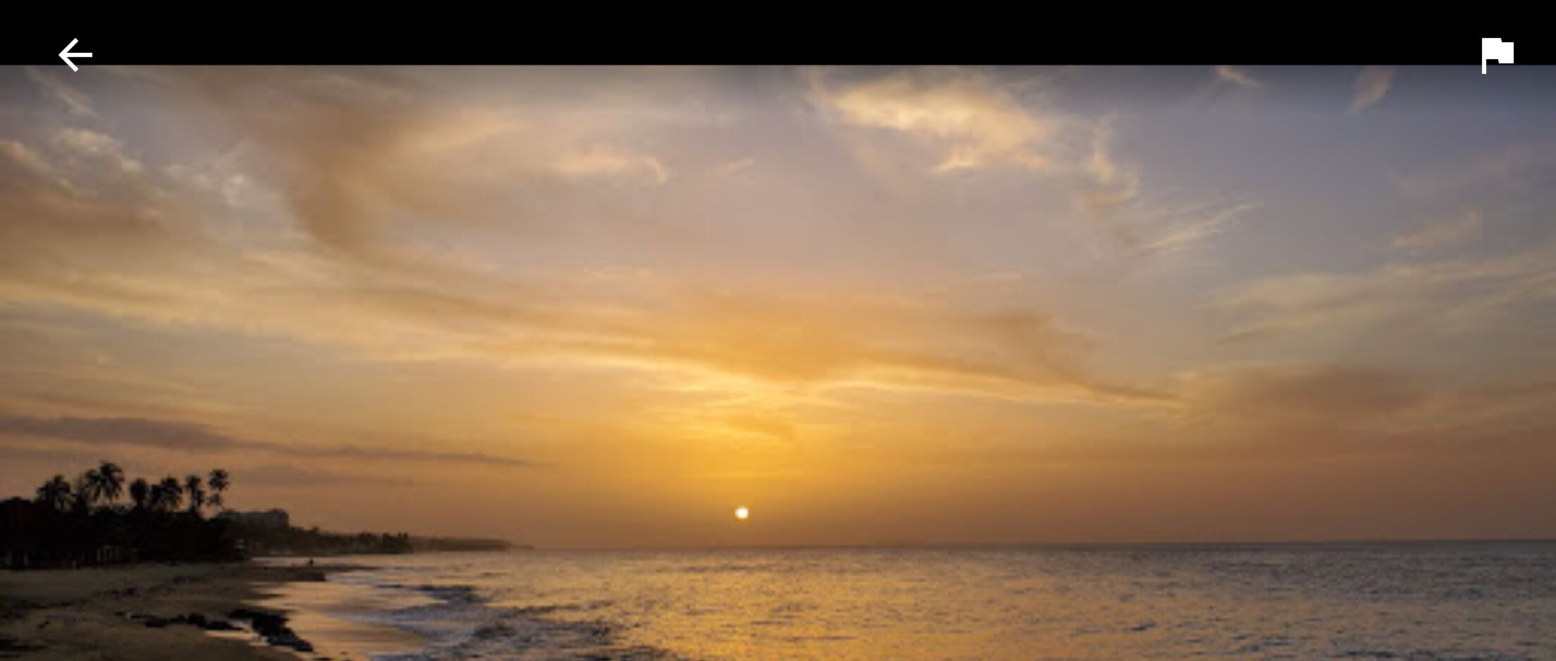 Un atardecer sobre una playa con palmeras y un mar tranquilo.