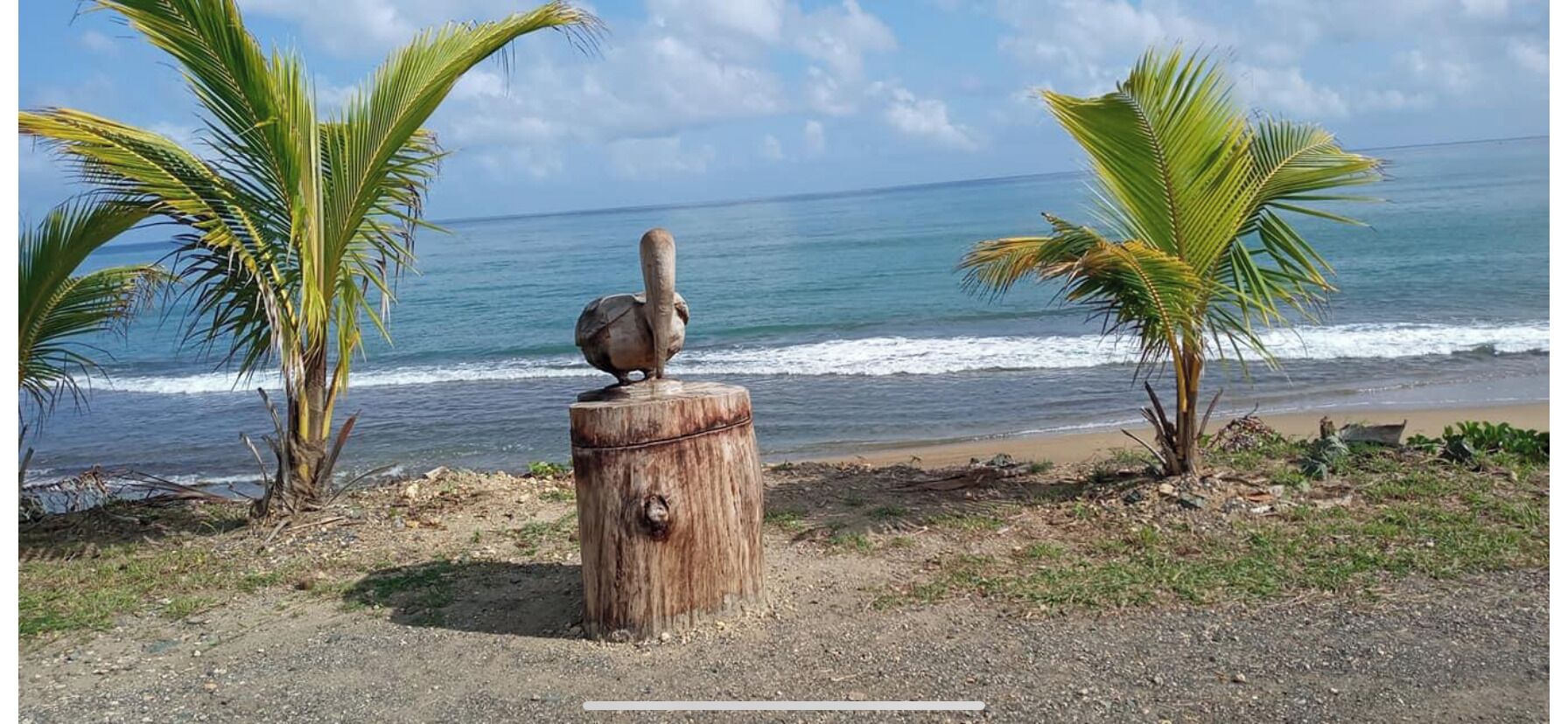 A wooden post with a bird perched on top, surrounded by palm trees and a beach with ocean waves.