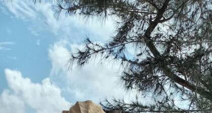 CASA PEACE HAVEN ( 2 level) Beach House