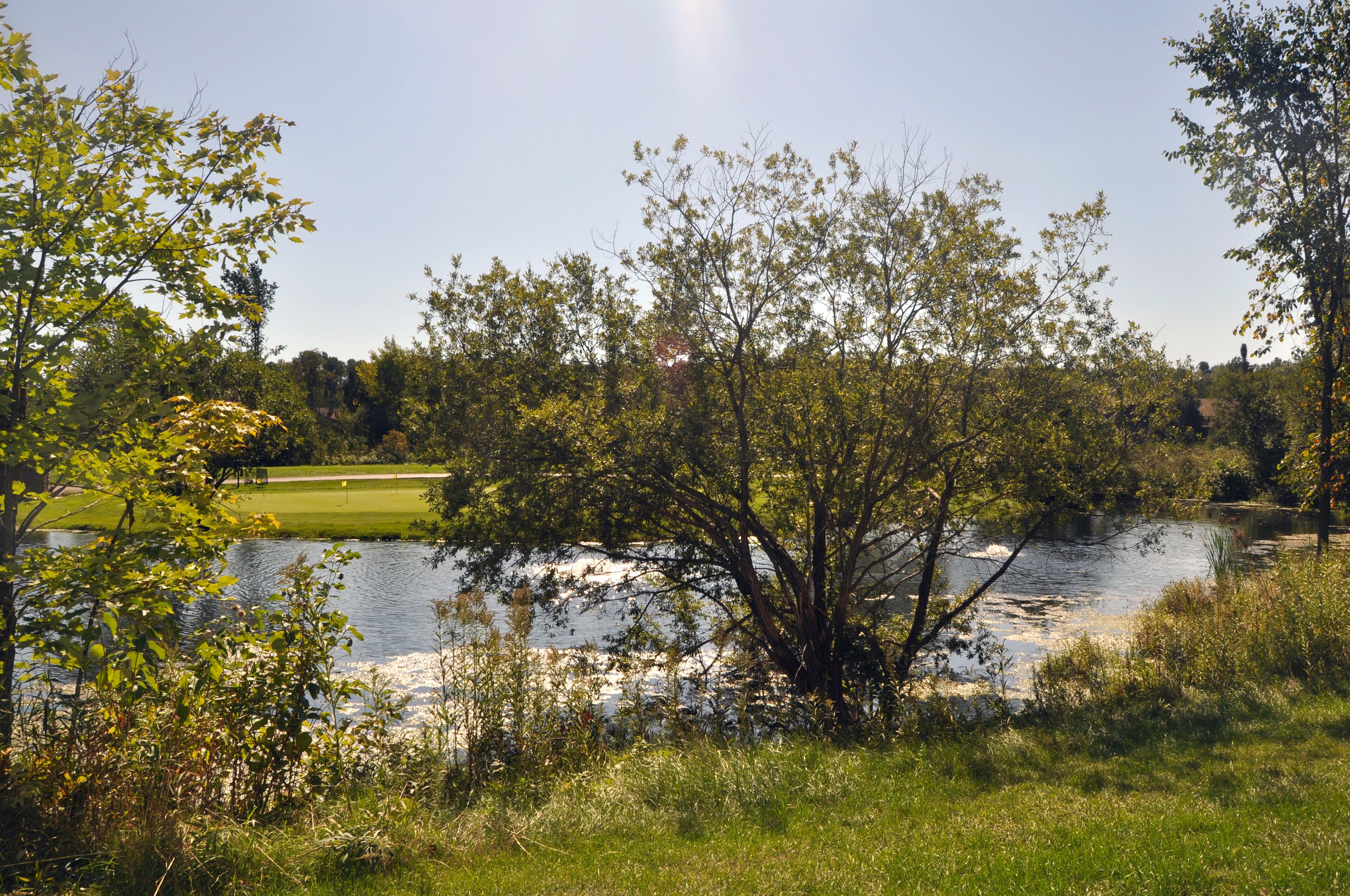 Rauhallinen maisema joen varrella, jossa on rehevää kasvillisuutta ja taustalla golfkenttä.