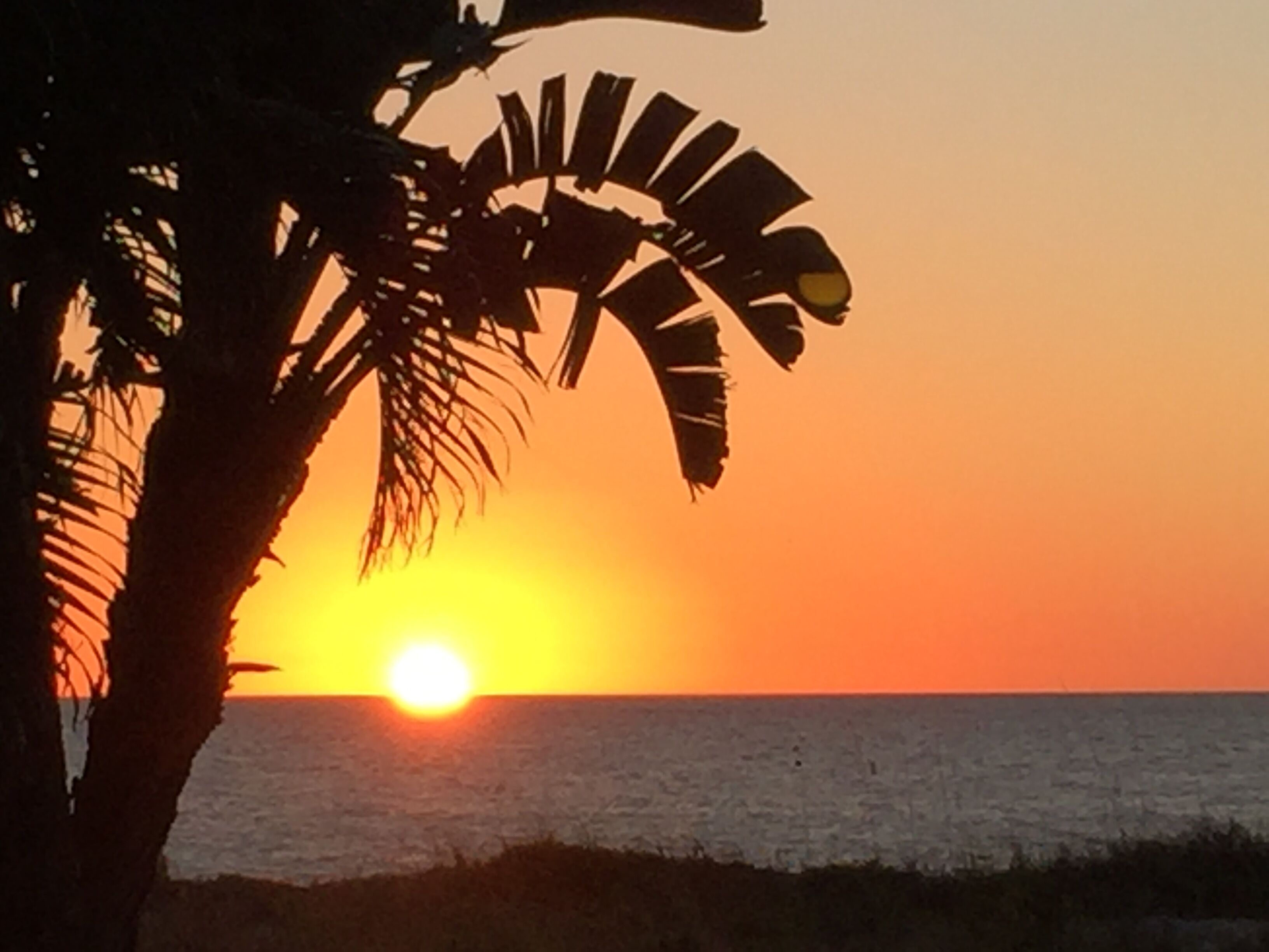 En la playa, camastros y toallas de playa 