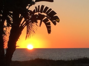 A sunset over the ocean with silhouettes of palm trees. - Special Aug 29 to Sept 05, 2026 - Madeira Direct Beach Front Corner Condo (Madeira Beach)