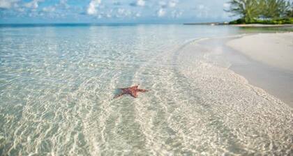 Kajak die ruhigen karibischen Gewässer! Atemberaubender Ausblick! Colonial Kai Von CaymanVacation