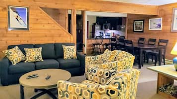 Smart TV, fireplace, DVD player, books