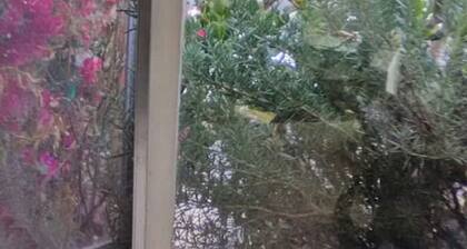 Lake Merritt Studio Apt # 5 Great Location & Value