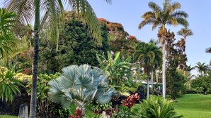 Een weelderige tuin met palmbomen, varens en diverse tropische planten.