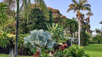 Un jardin luxuriant, agrémenté de palmiers, de fougères et de nombreuses plantes tropicales.