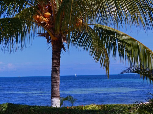 Luxurious & Comfortable Residence!!! - Hotel Zone - Condo on The Beach