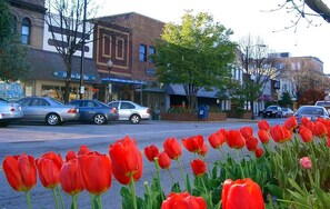 A street with parked cars and a row of red tulips in the foreground. - Limited Dates in June & July, Come See Why. Locally Owned & Operated! (Hendersonville)