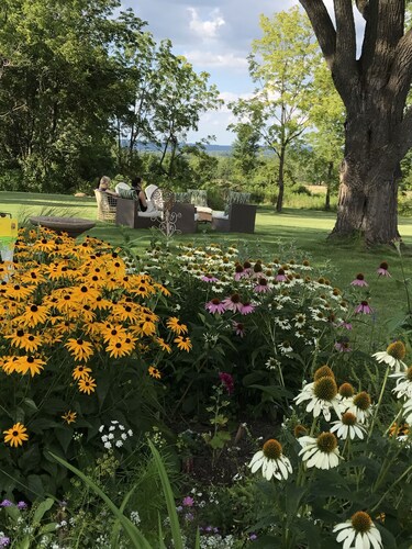Viehättävä historiallinen koti Finger Järvien maaseudulla - Reed Homestead 