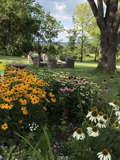 Charming Historic Home In The Finger Lakes Countryside - Reed Homestead 
