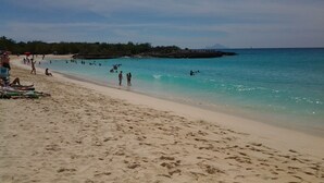 A beach with clear turquoise water, sandy shore, and people enjoying the beach. - Tropical Gem! Watch Jets Fly into Airport+Ocean Beach+Garden Views+MANY PERKS!!! (Maho Bay)
