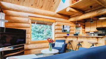 Smart TV, fireplace, video games, Netflix