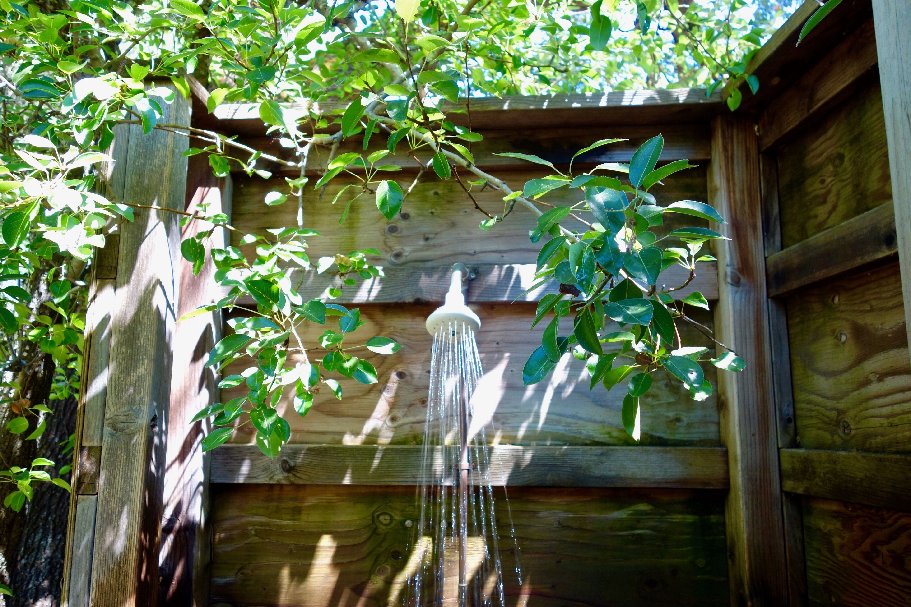 A wooden structure with a water feature, surrounded by greenery.