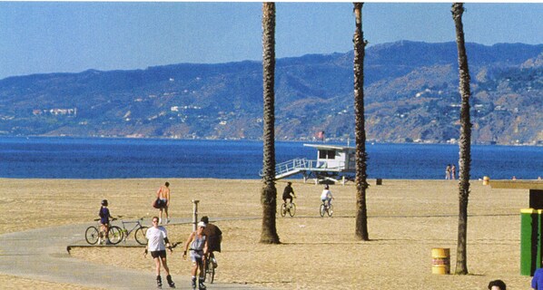 Plage à proximité, chaises longues, serviettes de plage