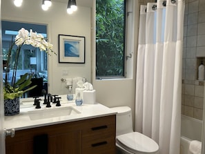 Ducha y bañera combinadas, bañera de hidromasaje y secador de pelo