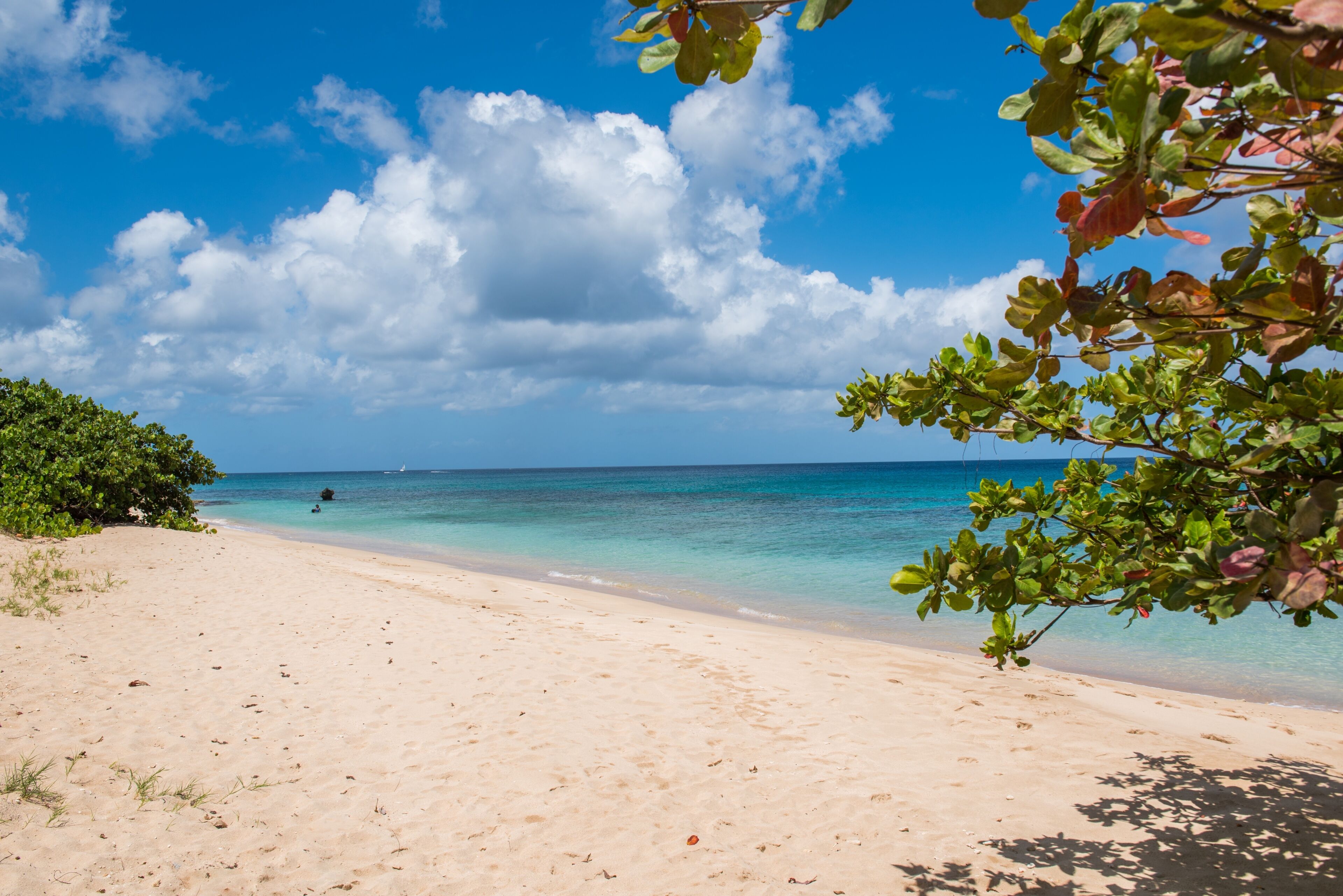 A beach with clear turquoise water, a sandy shore, and a clear blue sky.