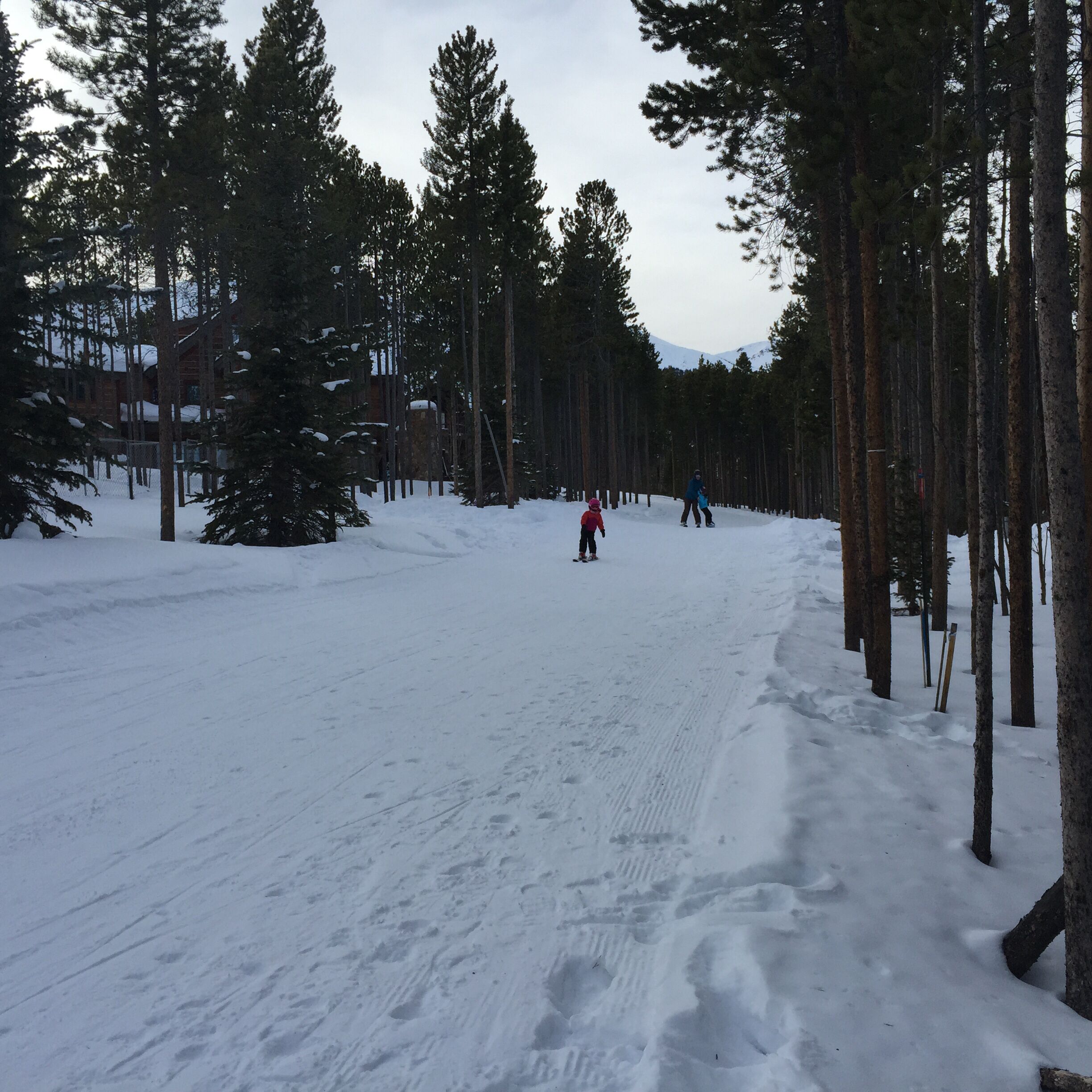 Une piste de ski enneigée, bordée de grands pins, avec un bâtiment visible au loin.