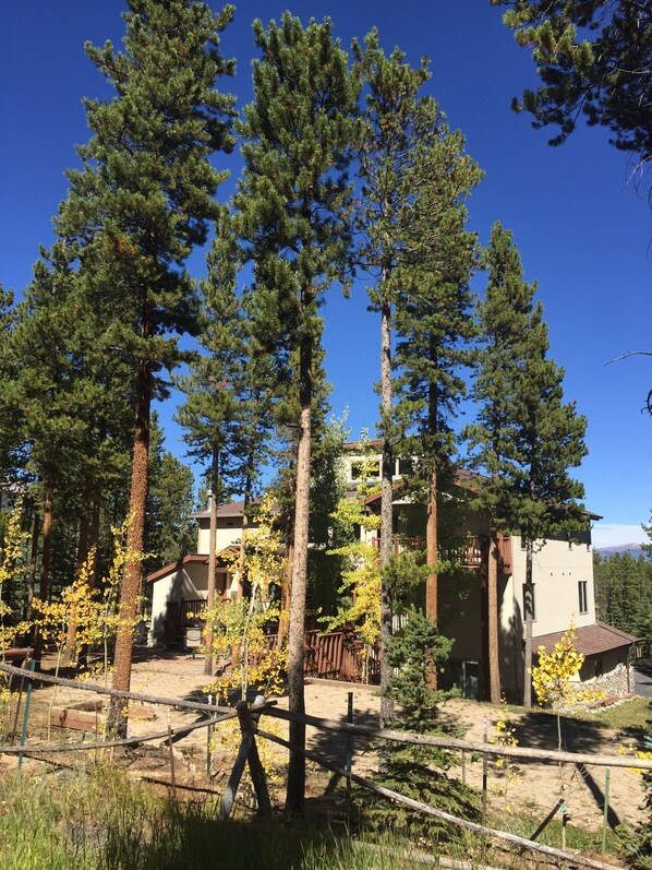 المنطقة المحيطة بالمنشأة