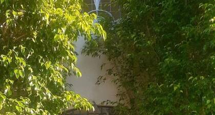 Dorchester New Kingstonissa