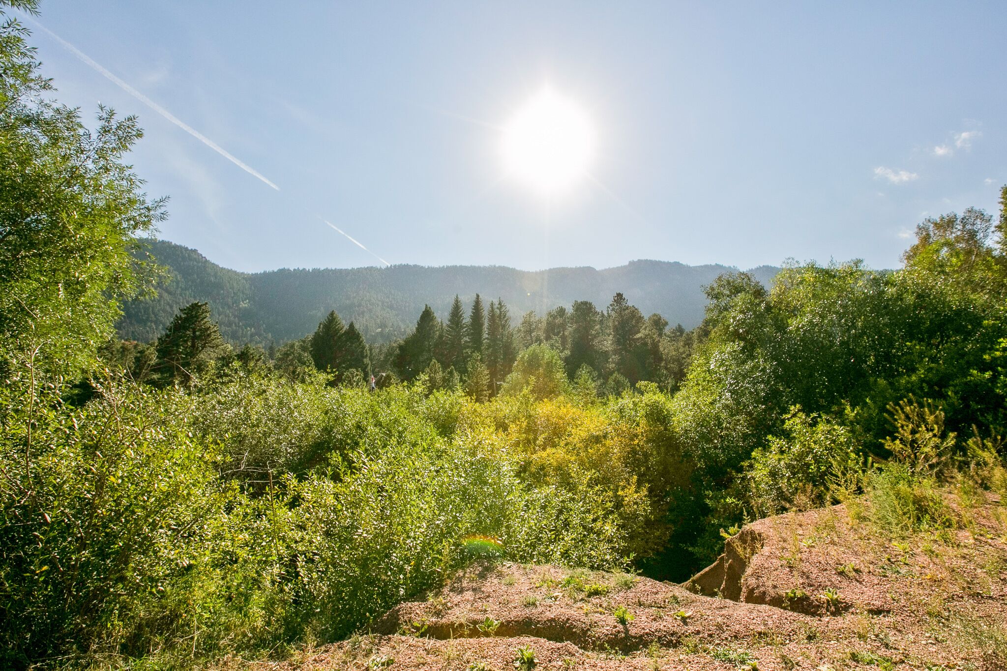 Paesaggio naturale con cielo sereno, vegetazione lussureggiante e montagne sullo sfondo.