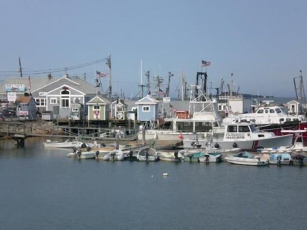 A marina with boats docked, buildings with American flags, and a clear sky.