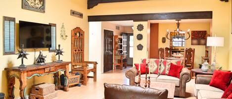 TV connectée, cheminée, lecteur de DVD, livres