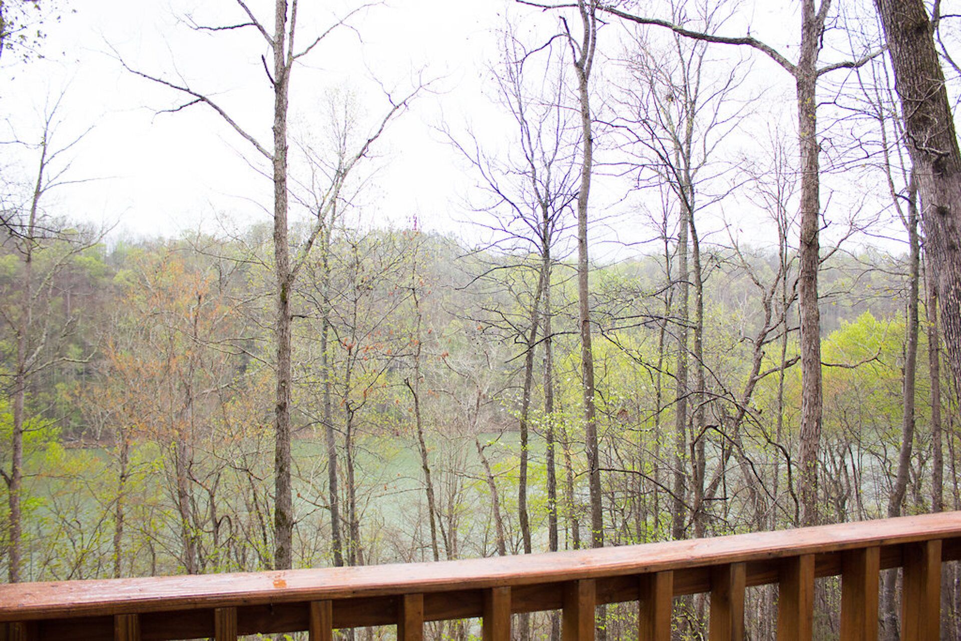 Àrea exterior de l'allotjament