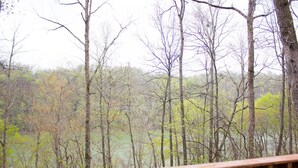 Une terrasse en bois surplombe une forêt où s’élèvent de grands arbres et où le feuillage arbore un mélange de vert et de brun.