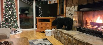 Tilbaketrukket treplasstil i vakre Smoky Mountains. Dyrevennlig, wi-fi