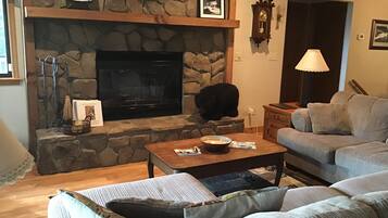 TV connectée, cheminée, lecteur de DVD, livres