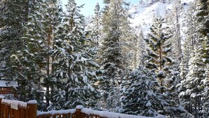 A snowy forest with a wooden fence and a sign that reads "DO NOT ENTER." - At Home in the Mountains , 7 bdrms 5 baths, Hot tub, Sauna, Steam rm & more (South Lake Tahoe)